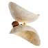 Elegant sculptural wall light - Thumbnail 4