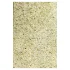 Carpet - Thumbnail 2