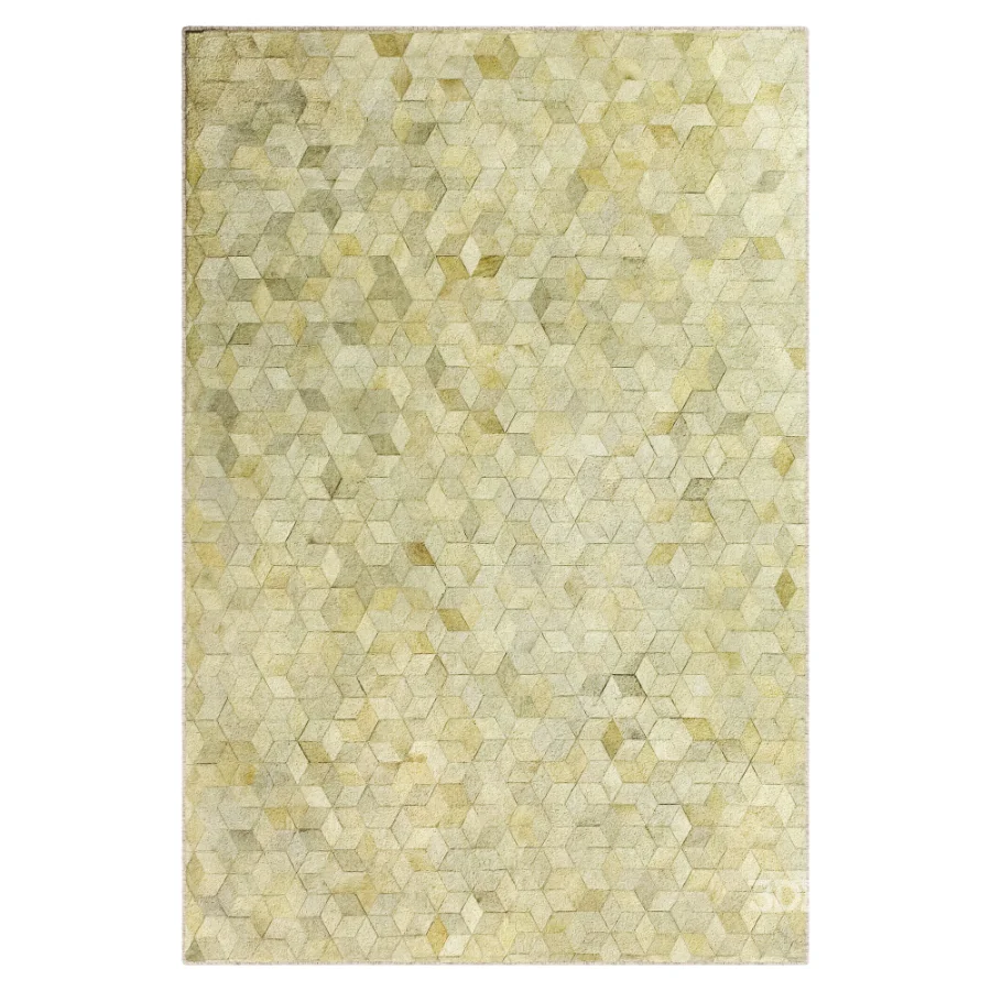 Carpet Image 2