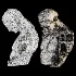 Surrealistic Classical Bust Architectural Sculpture - Thumbnail 6