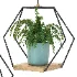 Hanging Plant 06 - Thumbnail 4