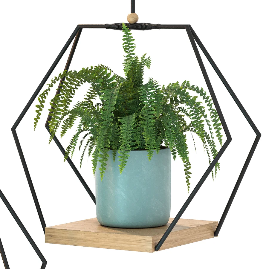 Hanging Plant 06 Image 4