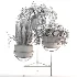 Metal Plant Set 11 - Thumbnail 1