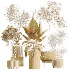 AV Indoor Plants Set 607 Yucca Alocasia Elefantenoh Ficus Marginata Ficus Fig - Thumbnail 7