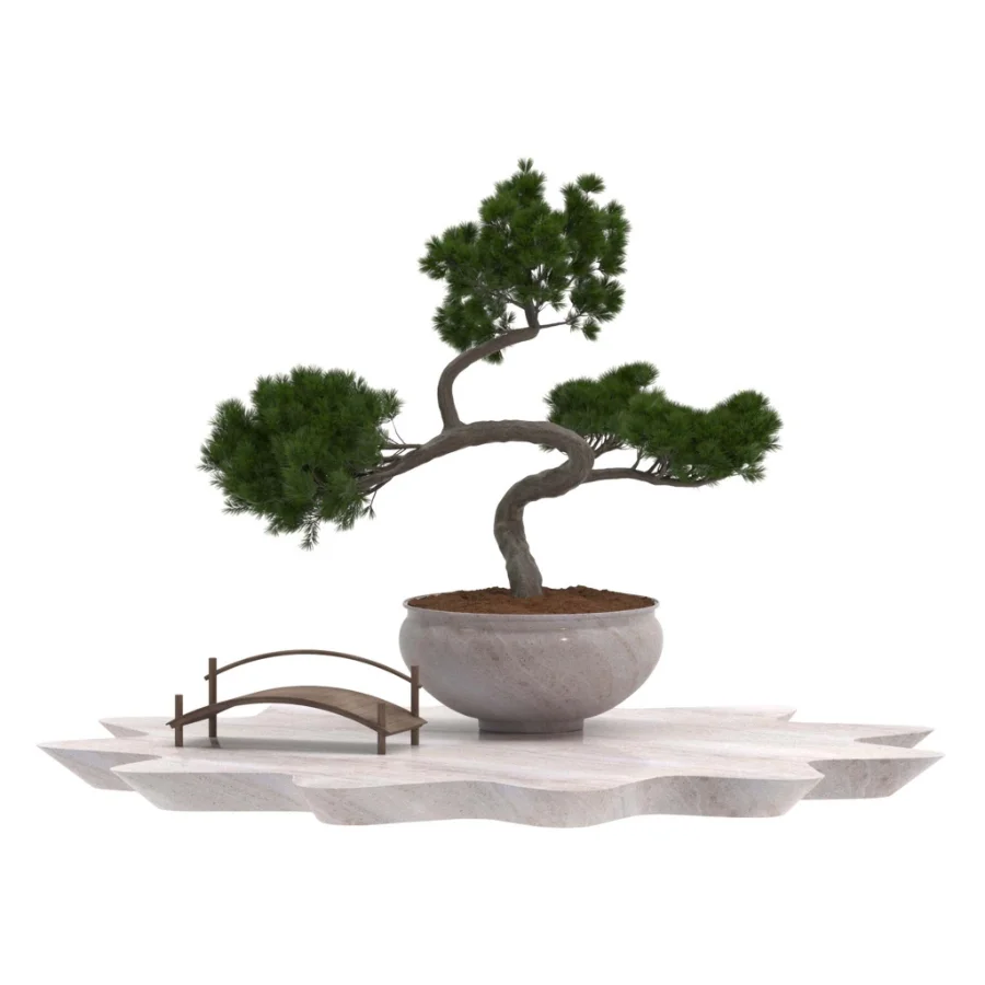 Pine Bonsai Tree-set-004 Image 2