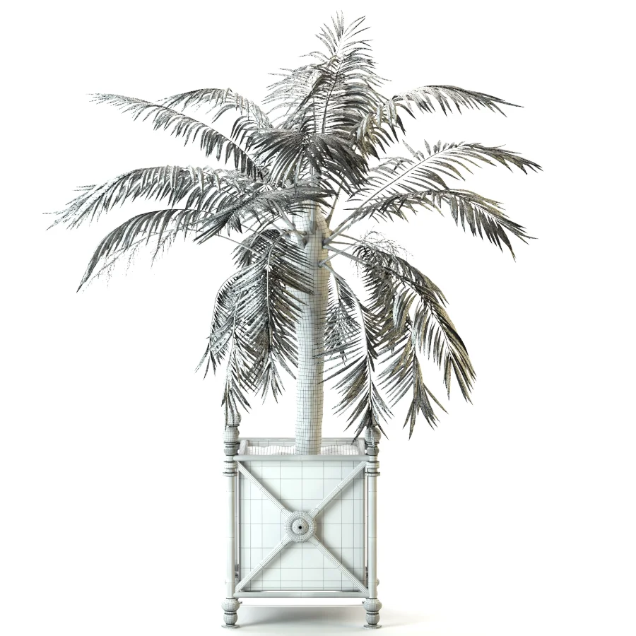 Outdoor Plant 04 – Palm Tree Planter Image 1