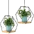Hanging Plant 06 - Thumbnail 3