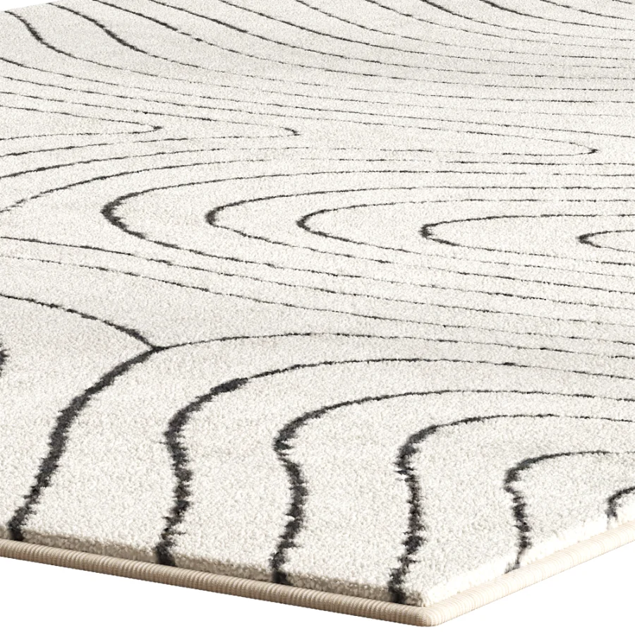 Carpet for interior Image 3