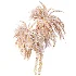 AV Plant Macrozamia Moorei Palm Tree 01 - Thumbnail 8