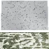 ZOFFANY Carpet - Thumbnail 3