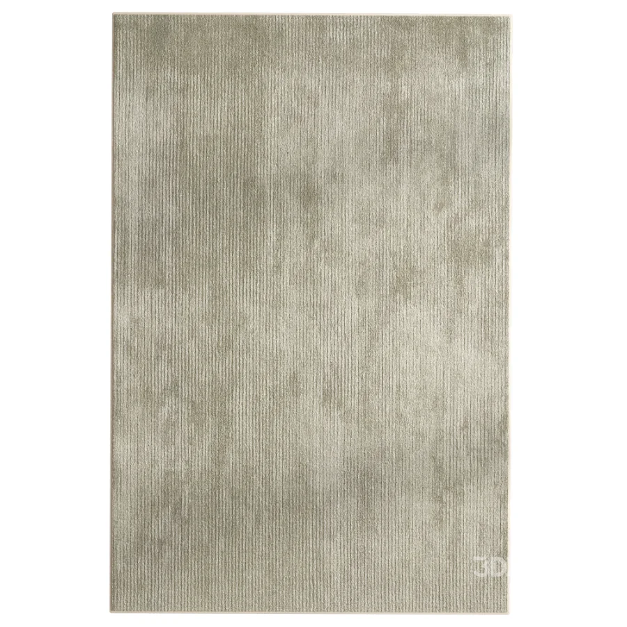 carpet Image 2