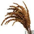 Dried Grass Arrangement with Glass Vase & Fruits - Thumbnail 2