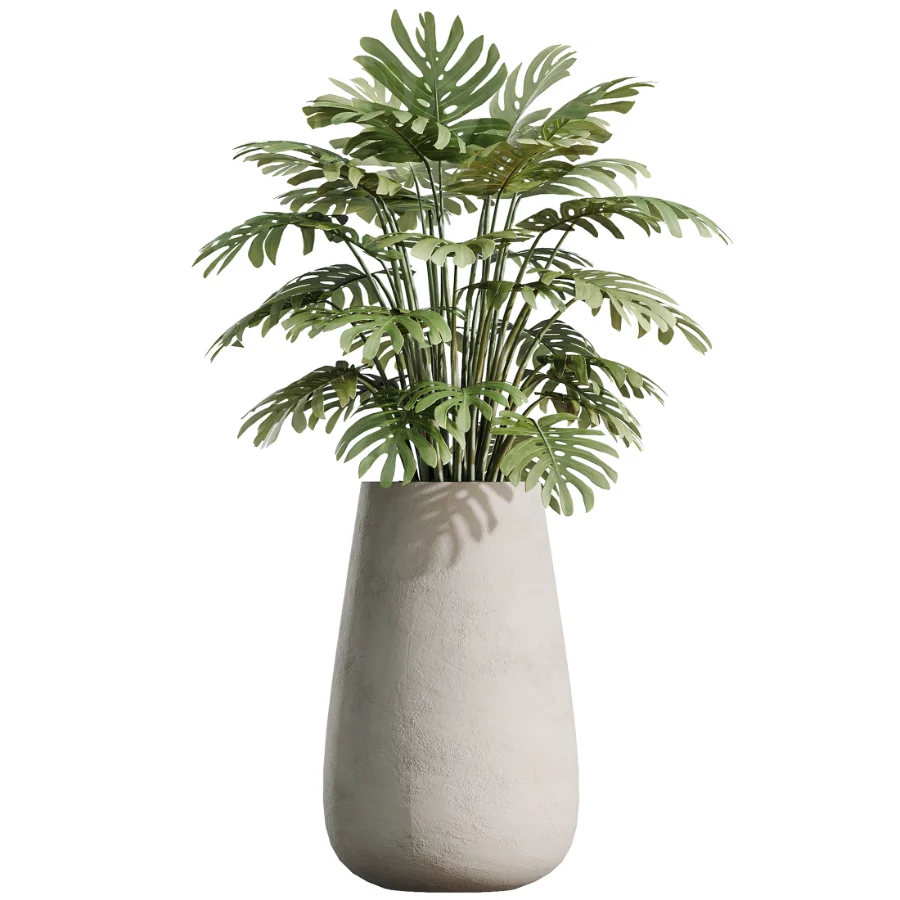 AV Indoor Plants Set 527 Olive Lemon Dragon Ficus Dracaena Marginata Image 2