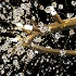 Modern light crystal chandelier - Thumbnail 3