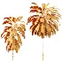 AV Plant Cordyline Petiolaris 6 Palm Tree 01 - Thumbnail 8