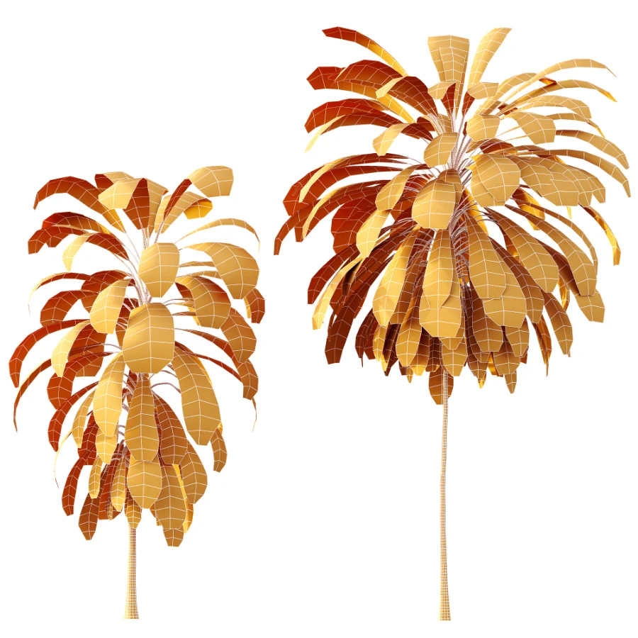AV Plant Cordyline Petiolaris 6 Palm Tree 01 Image 8