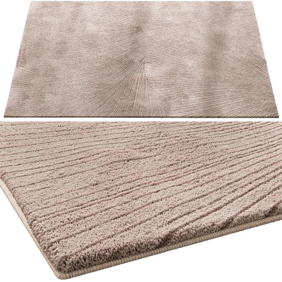 Carpet 021 Image 2