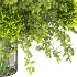 Bouquet of Flowers with Hydrangea 054 - Thumbnail 3