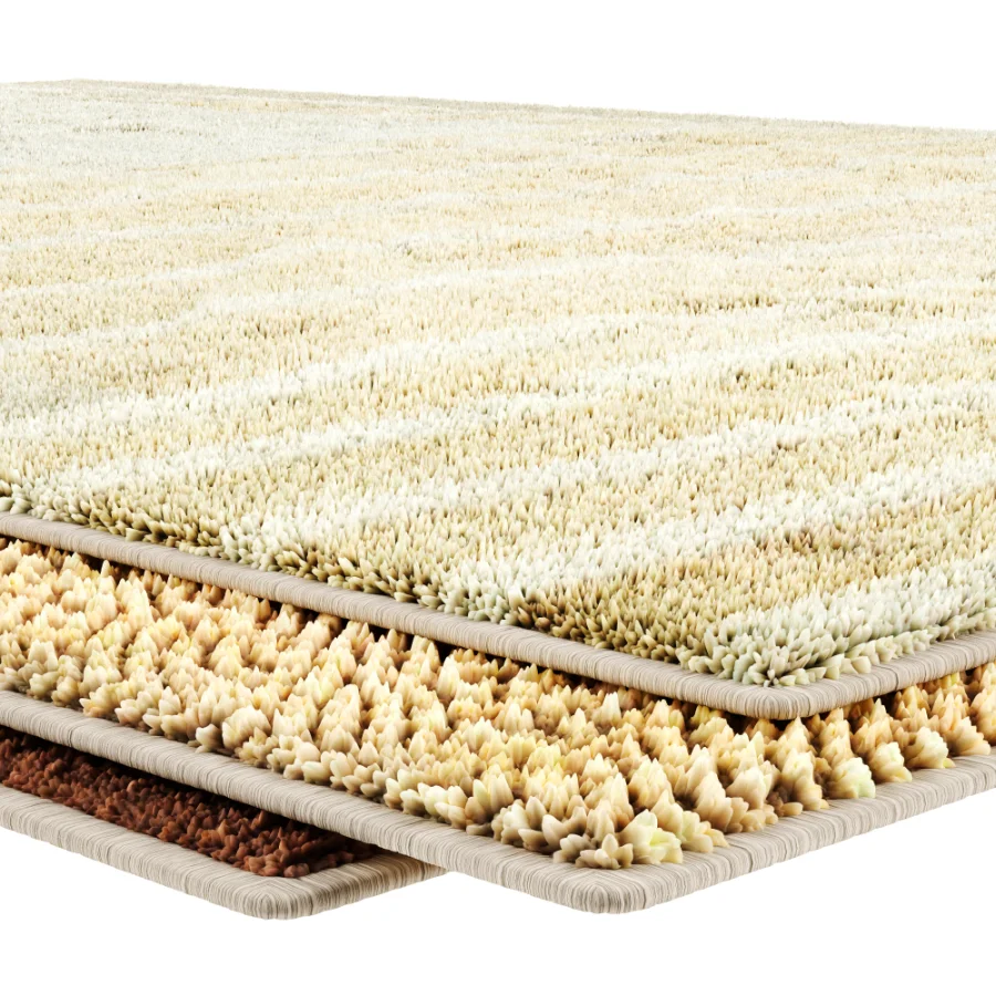 Carpet Image 4