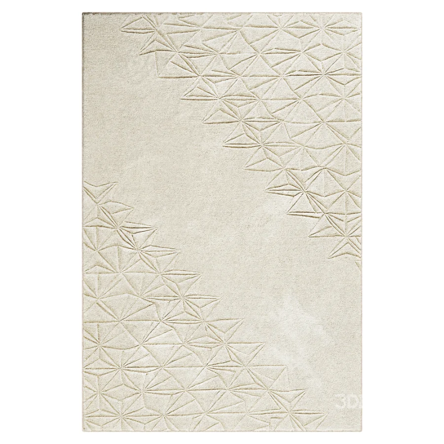 Carpet Image 3