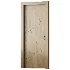 Door - Thumbnail 2