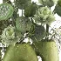 Verdelle Botanical Vase Set 059 - Thumbnail 3