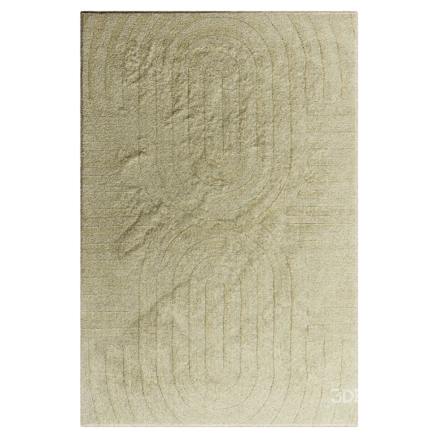 Carpet Image 6