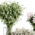 Elegant Floral Vase Collection - Thumbnail 5