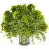 Bouquet of Flowers with Hydrangea 054 - Thumbnail 1