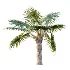AV Plant Bismarckia Nobilisi Palm Tree 01 - Thumbnail 5