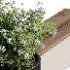 Bench with Plants – Urban Furniture 07 - Thumbnail 4