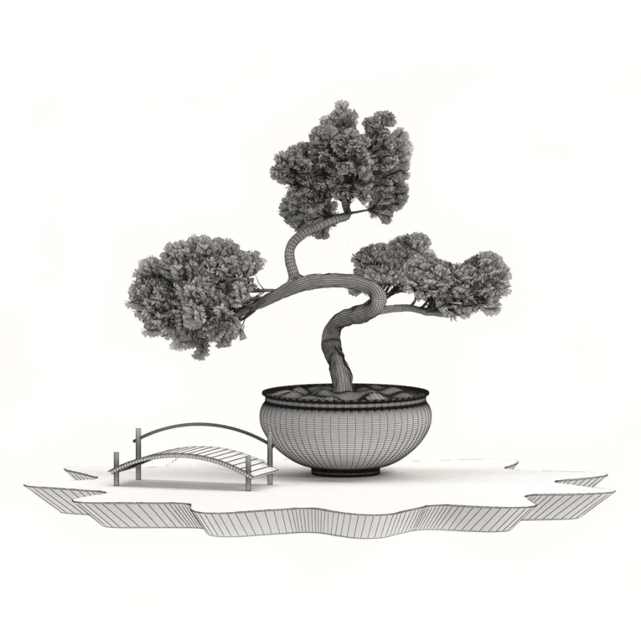 Pine Bonsai Tree-set-004 Image 1