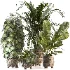 Plant Set 14 - Thumbnail 6