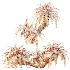 AV Plant Cycas Revoluta Palmfarn Palm Bush 01 - Thumbnail 7