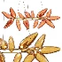 GEM RING CHANDELIER - Thumbnail 4