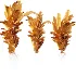 AV Plant Drynaria Roosii Palm Bush 02 - Thumbnail 7