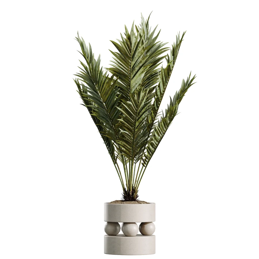 AV Indoor Plants Set 620 Aloe Vera Succulents Ruffled Fan Palm Areca Palm Briful Image 1