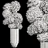 Flowers in Vase Collection 65 - Thumbnail 5