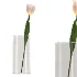 Bouquet of tulips in a glass vase-set001 - Thumbnail 2
