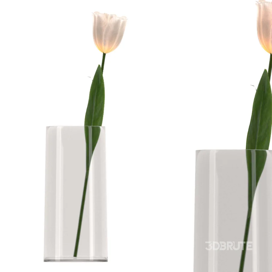 Bouquet of tulips in a glass vase-set001 Image 2