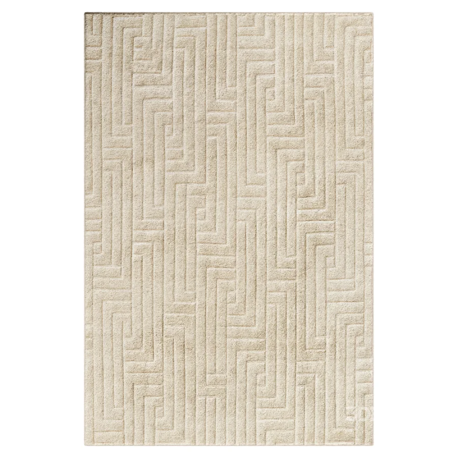 Carpet Image 6