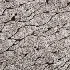 FEIZI Carpet - Thumbnail 4