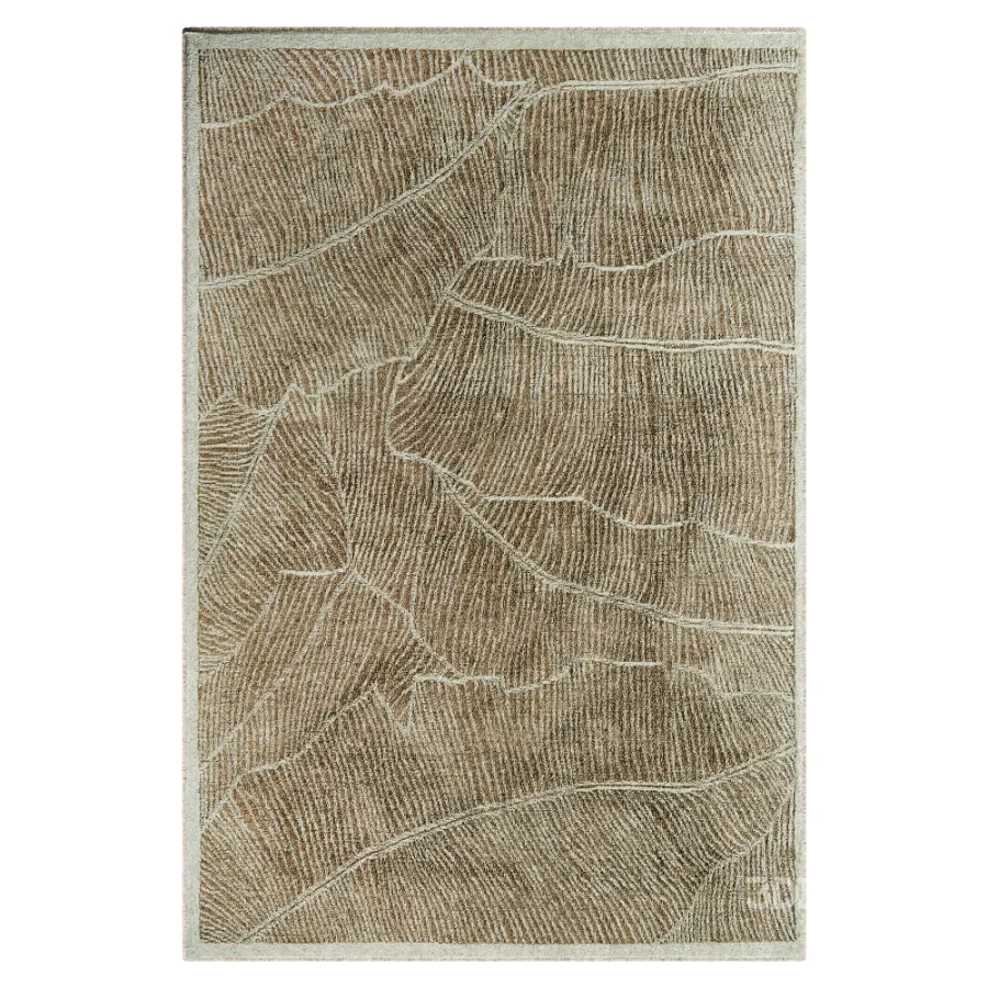 Carpet Image 3
