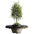 Bench with Plants – Urban Furniture 06 - Thumbnail 3