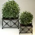 Outdoor Plant 03 – Decorative Planter Trees - Thumbnail 7