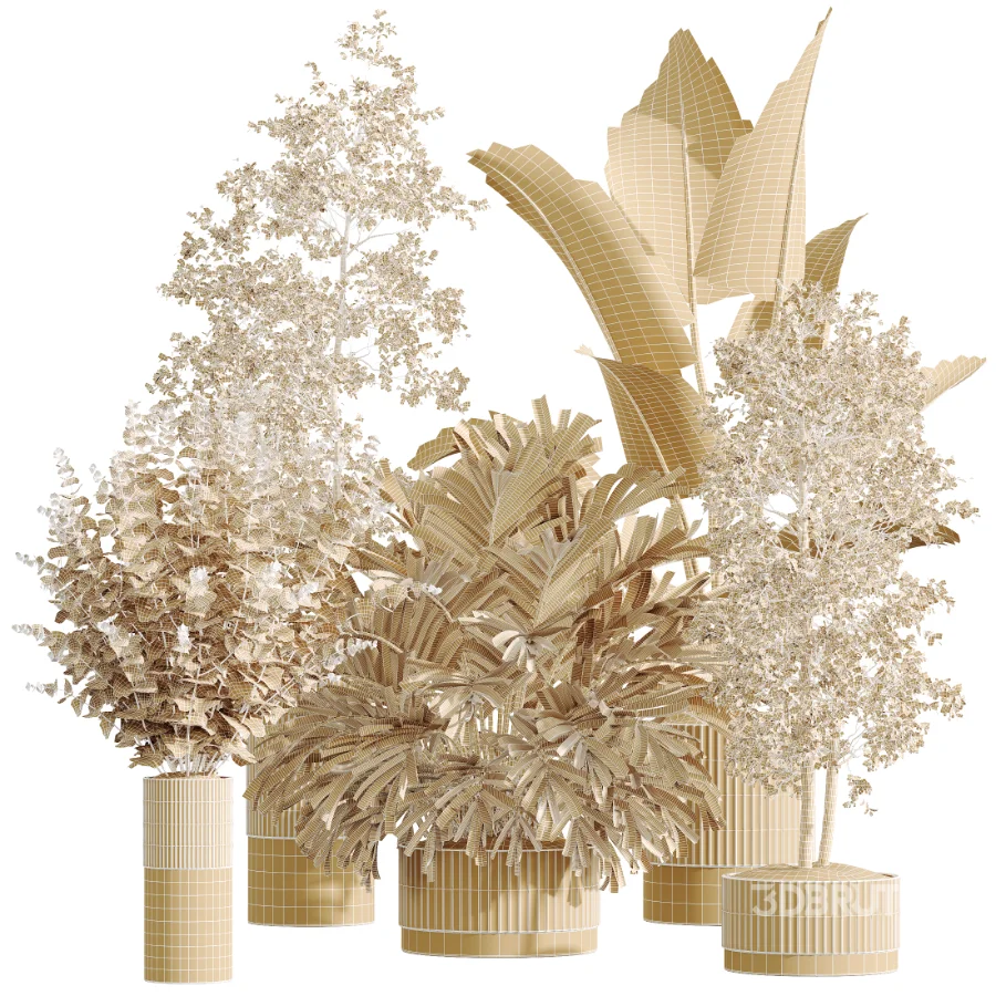 AV Indoor Plants Set 618 Chemlali Olive Areca Palm Eucalyptus Bouquet Bird Of Paradise Image 6