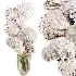 Flowers in Vase Collection 65 - Thumbnail 2