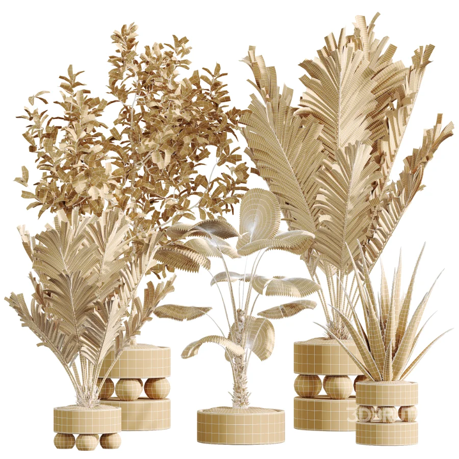 AV Indoor Plants Set 620 Aloe Vera Succulents Ruffled Fan Palm Areca Palm Briful Image 6
