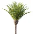 AV Plant Phoenix Canariensis Palm Tree 01 - Thumbnail 1