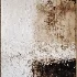 Painting 117 - Thumbnail 2